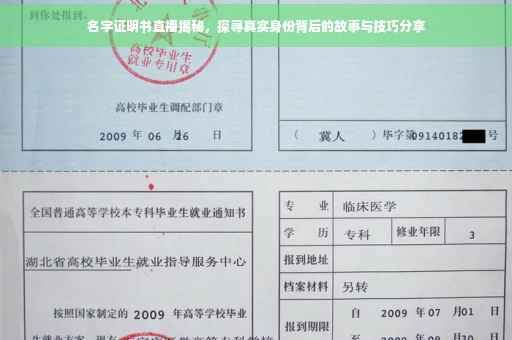 名字证明书直播揭秘，探寻真实身份背后的故事与技巧分享