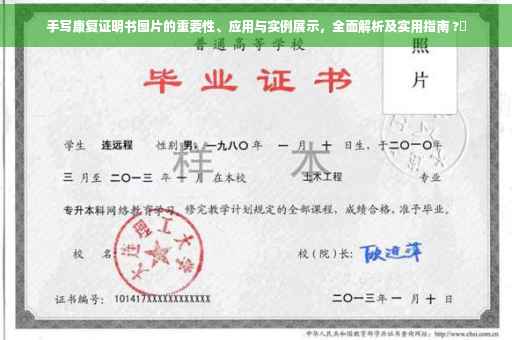 手写康复证明书图片的重要性、应用与实例展示，全面解析及实用指南 ?✨