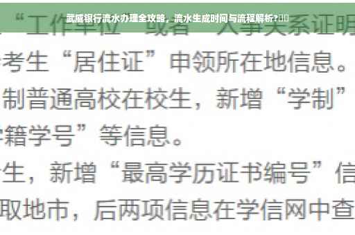 武威银行流水办理全攻略，流水生成时间与流程解析?⚡️
