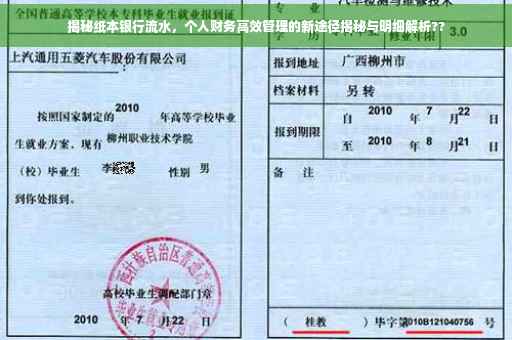 揭秘纸本银行流水，个人财务高效管理的新途径揭秘与明细解析??