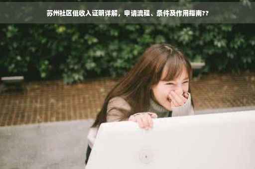 苏州社区低收入证明详解，申请流程、条件及作用指南??