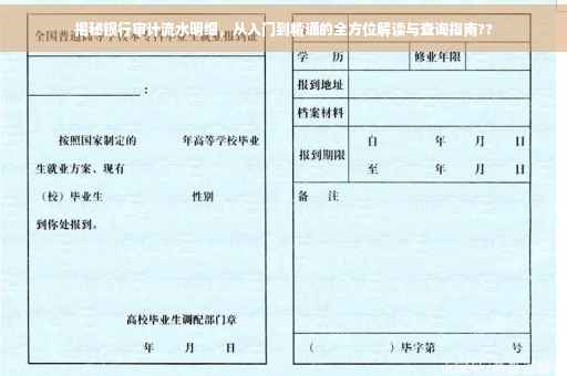 揭秘银行审计流水明细，从入门到精通的全方位解读与查询指南??