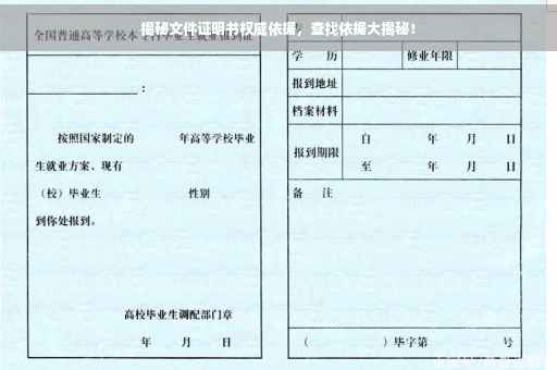 揭秘文件证明书权威依据，查找依据大揭秘！
