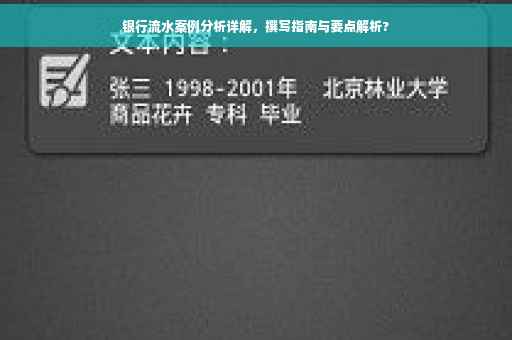 银行流水案例分析详解，撰写指南与要点解析?