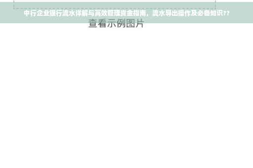 中行企业银行流水详解与高效管理资金指南，流水导出操作及必备知识??