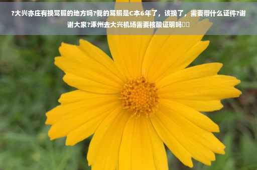 ?大兴亦庄有换驾照的地方吗?我的驾照是C本6年了，该换了，需要带什么证件?谢谢大家?涿州去大兴机场需要核酸证明吗⚡️