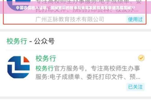 中国农信收入证明，揭秘背后的故事与未来发展指南及申请流程揭秘??