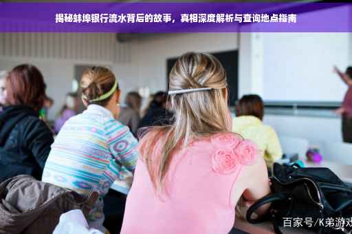 揭秘蚌埠银行流水背后的故事，真相深度解析与查询地点指南