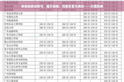 事实收养证明书，揭示真相，传递关爱与责任——办理指南