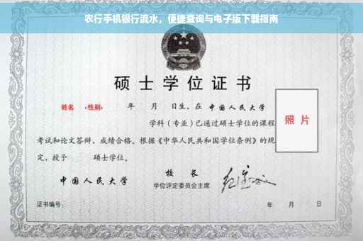 农行手机银行流水，便捷查询与电子版下载指南