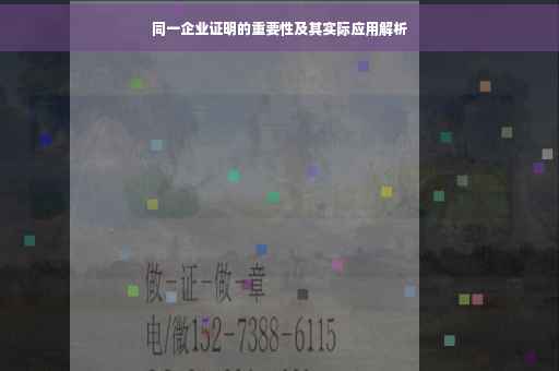 同一企业证明的重要性及其实际应用解析