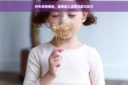 财务真相揭秘，离婚收入证明详解与探讨