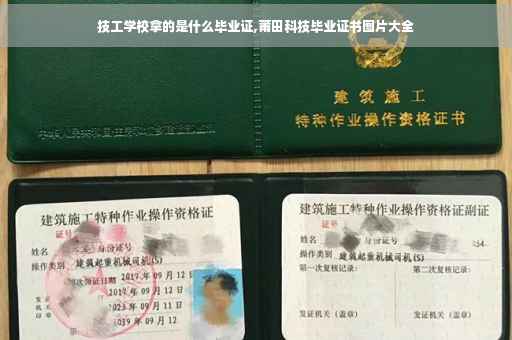 技工学校拿的是什么毕业证,莆田科技毕业证书图片大全