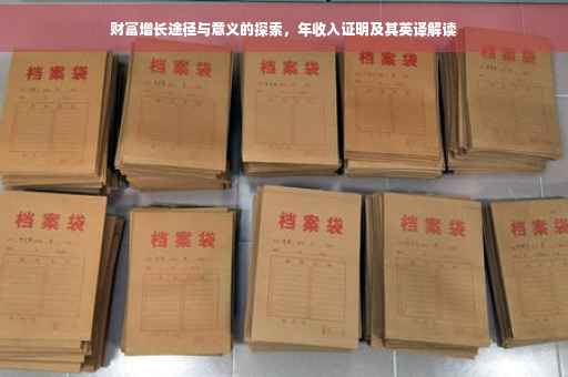 财富增长途径与意义的探索，年收入证明及其英译解读