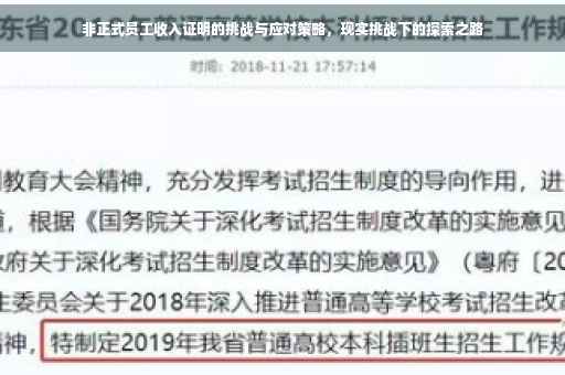 非正式员工收入证明的挑战与应对策略，现实挑战下的探索之路
