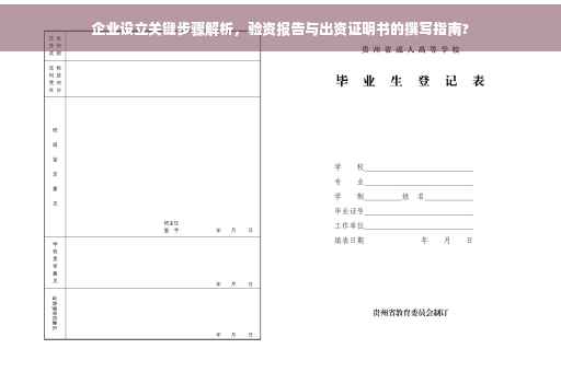 企业设立关键步骤解析，验资报告与出资证明书的撰写指南?