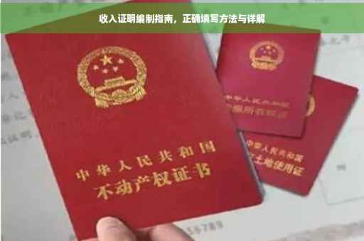 收入证明编制指南，正确填写方法与详解