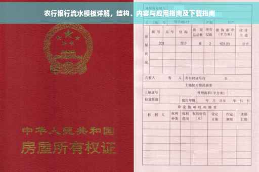 农行银行流水模板详解，结构、内容与应用指南及下载指南