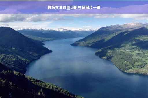 妊娠贫血诊断证明书及图片一览