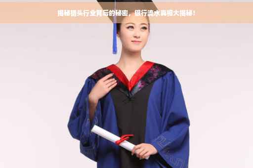 揭秘猎头行业背后的秘密，银行流水真相大揭秘！