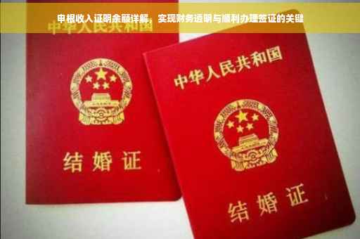申根收入证明余额详解，实现财务透明与顺利办理签证的关键
