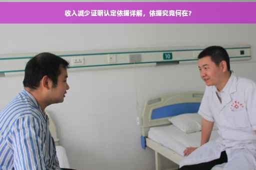 收入减少证明认定依据详解，依据究竟何在？