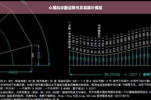 心理科诊断证明书及其图片概览