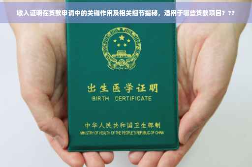 收入证明在贷款申请中的关键作用及相关细节揭秘，适用于哪些贷款项目？??
