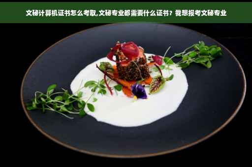 文秘计算机证书怎么考取,文秘专业都需要什么证书?我想报考文秘专业 文秘计算机证书怎么考取,文秘专业都需要什么证书?我想报考文秘专业