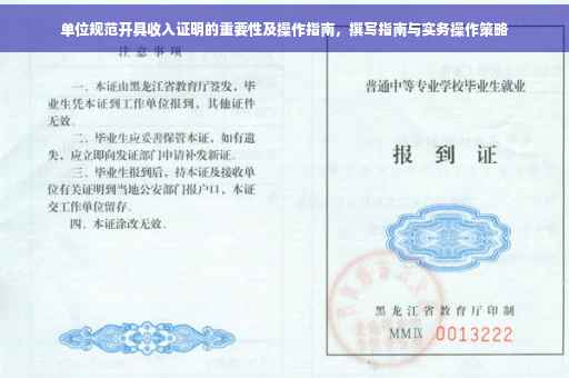 单位规范开具收入证明的重要性及操作指南，撰写指南与实务操作策略