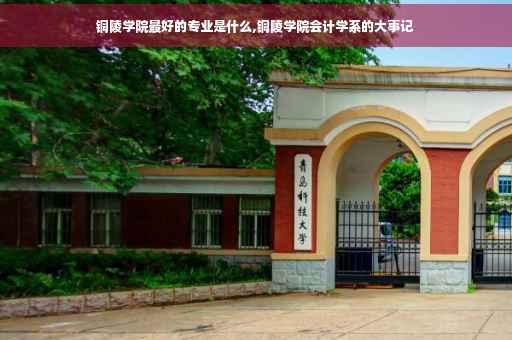铜陵学院最好的专业是什么,铜陵学院会计学系的大事记