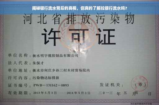 揭秘银行流水背后的真相，你真的了解拉银行流水吗？
