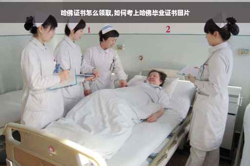 哈佛证书怎么领取,如何考上哈佛毕业证书图片