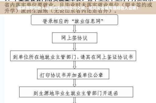 揭秘理赔假收入证明的风险与应对之道，如何安全撰写理赔收入证明？