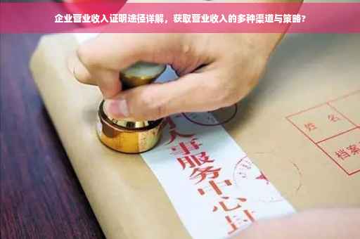 企业营业收入证明途径详解，获取营业收入的多种渠道与策略?