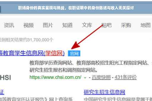 职场身份的真实呈现与挑战，在职证明中的身份陈述与收入无关探讨