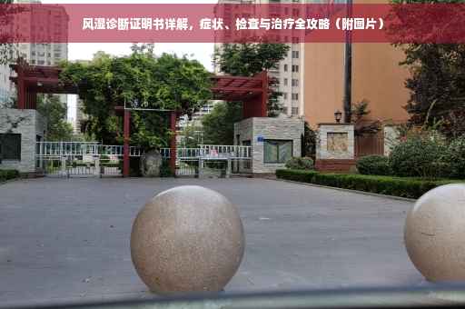 风湿诊断证明书详解，症状、检查与治疗全攻略（附图片）