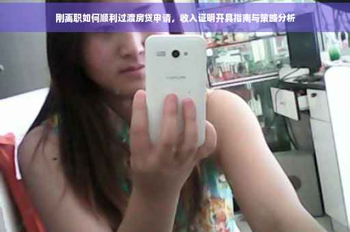 刚离职如何顺利过渡房贷申请，收入证明开具指南与策略分析