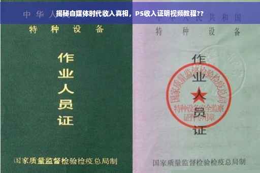 揭秘自媒体时代收入真相，PS收入证明视频教程??