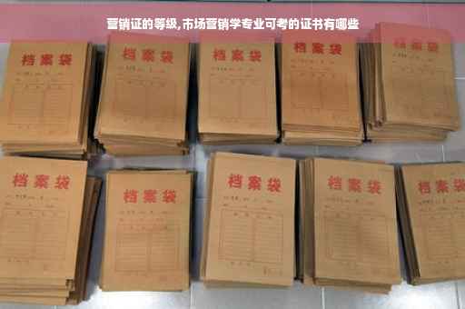 营销证的等级,市场营销学专业可考的证书有哪些