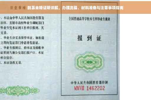 韩系未婚证明详解，办理流程、材料准备与注意事项指南