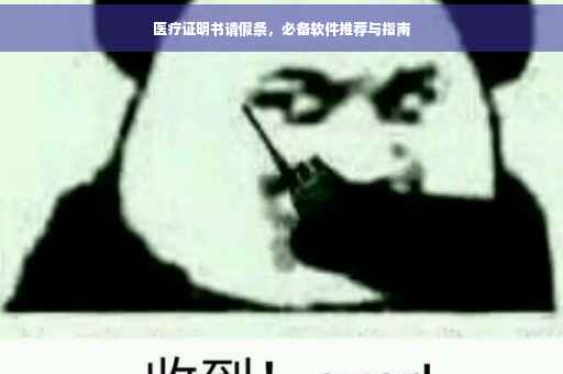 医疗证明书请假条，必备软件推荐与指南