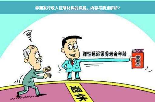 券商发行收入证明材料的详解，内容与要点解析?