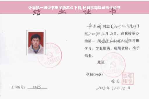 计算机一级证书电子版怎么下载,计算机等级证电子证书