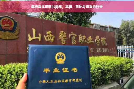 癌症真实证明书揭秘，真相、图片与谣言的较量