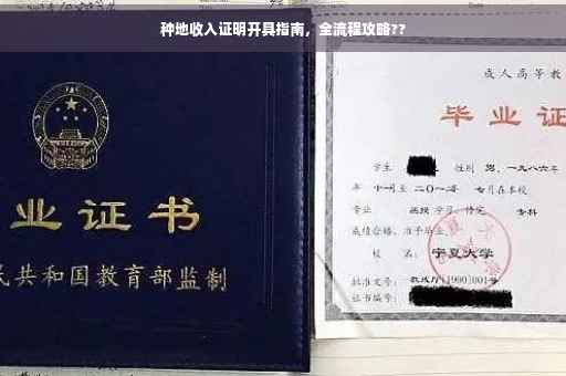 种地收入证明开具指南，全流程攻略??