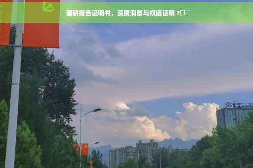 调研报告证明书，深度洞察与权威证明 ?⚡️