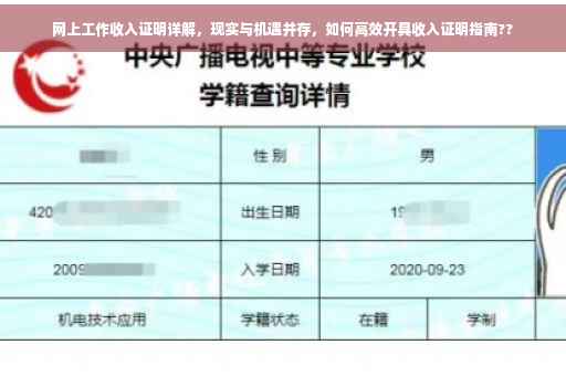 网上工作收入证明详解，现实与机遇并存，如何高效开具收入证明指南??
