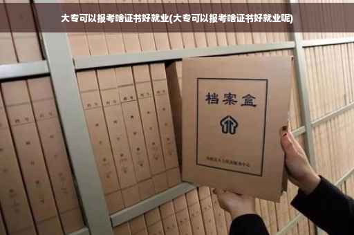 大专可以报考啥证书好就业(大专可以报考啥证书好就业呢)