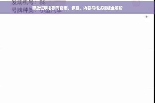 释放证明书撰写指南，步骤、内容与格式模板全解析